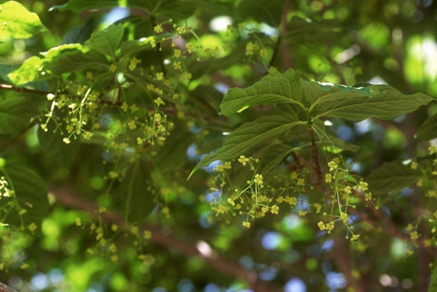 f:id:notahiro:20210628102952j:plain