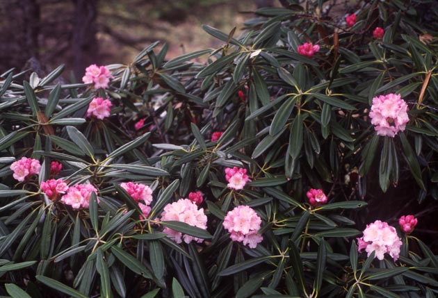 f:id:notahiro:20210628103358j:plain