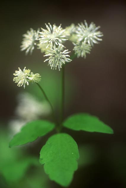 f:id:notahiro:20210628104038j:plain