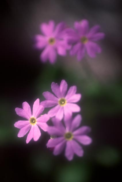 f:id:notahiro:20210628104312j:plain