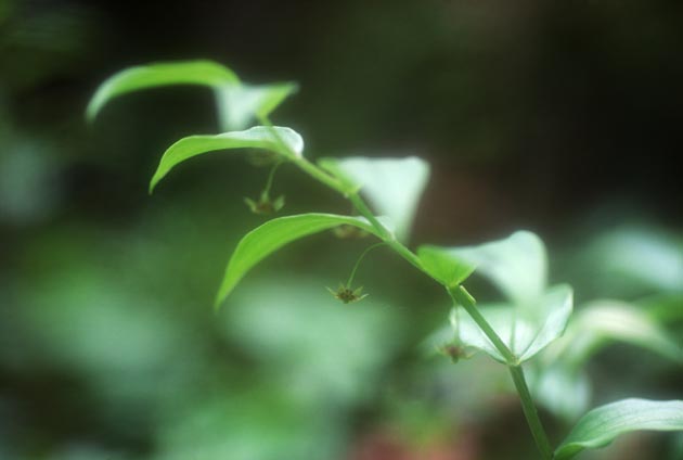 f:id:notahiro:20210628104544j:plain