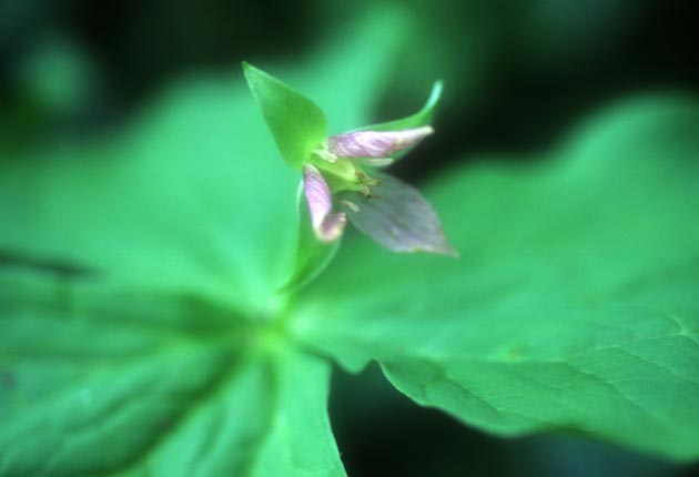 f:id:notahiro:20210628104821j:plain