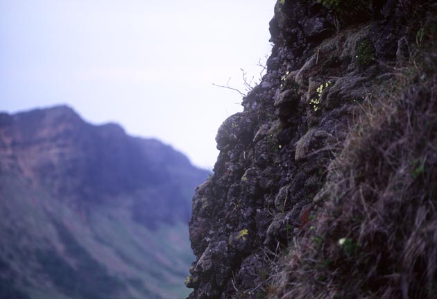 f:id:notahiro:20210628105504j:plain