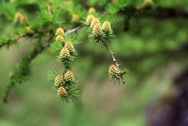 f:id:notahiro:20210628105820j:plain