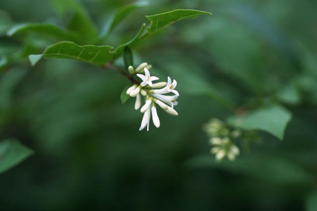 f:id:notahiro:20210801164544j:plain