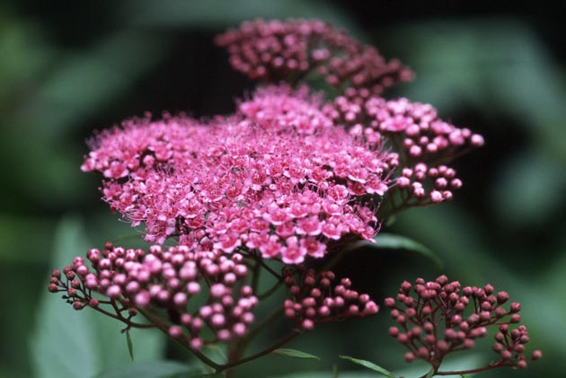 f:id:notahiro:20210801164657j:plain