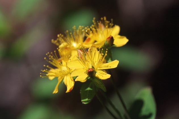 f:id:notahiro:20210801164730j:plain