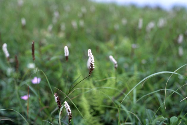 f:id:notahiro:20210801165700j:plain