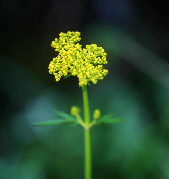 f:id:notahiro:20210831152947j:plain