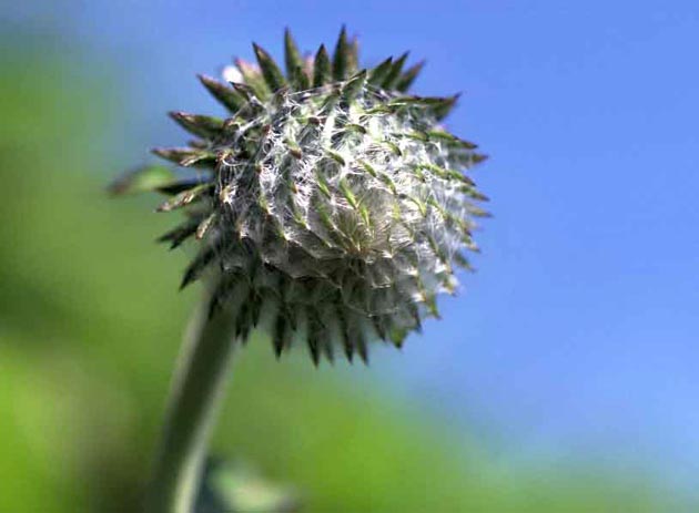 f:id:notahiro:20210831154801j:plain