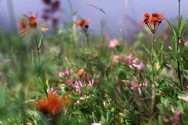 f:id:notahiro:20210831155339j:plain