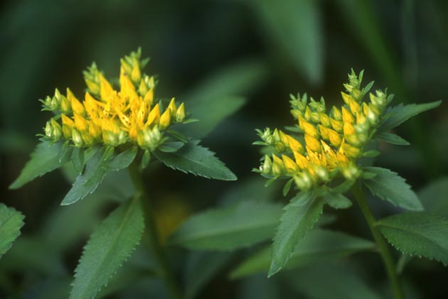 f:id:notahiro:20210831155653j:plain