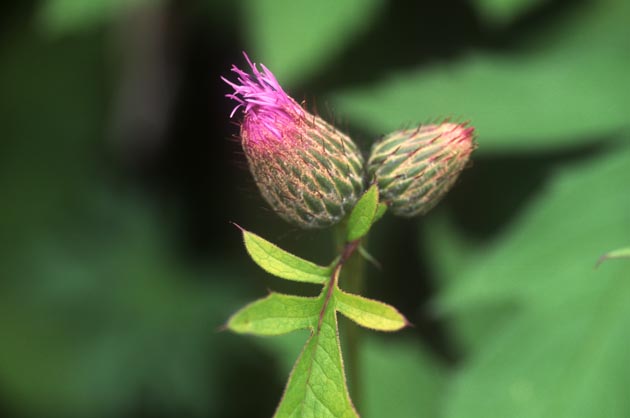 f:id:notahiro:20210831160053j:plain