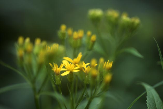 f:id:notahiro:20210831160203j:plain