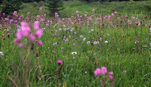 f:id:notahiro:20210831160258j:plain