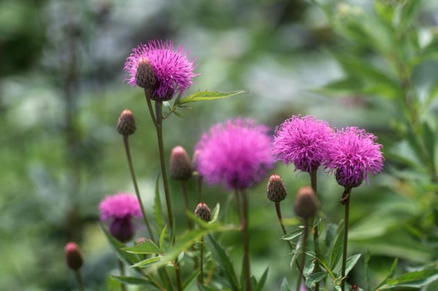 f:id:notahiro:20210831160748j:plain