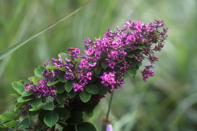 f:id:notahiro:20210831161054j:plain