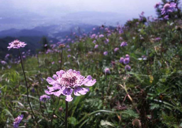 f:id:notahiro:20210831161330j:plain