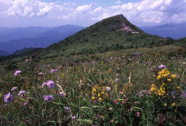 f:id:notahiro:20210831161411j:plain