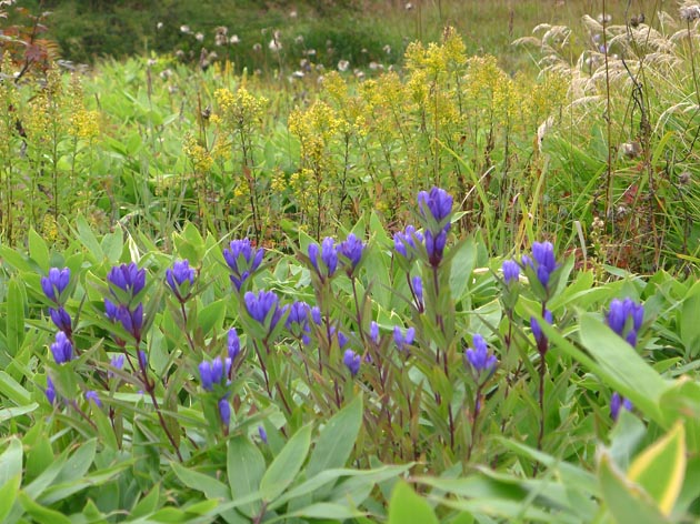 f:id:notahiro:20211001105037j:plain