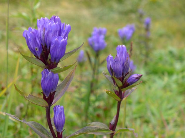 f:id:notahiro:20211001105349j:plain