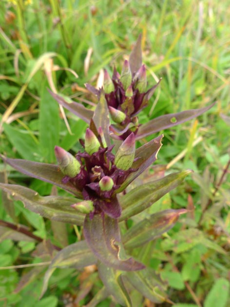 f:id:notahiro:20211001105544j:plain