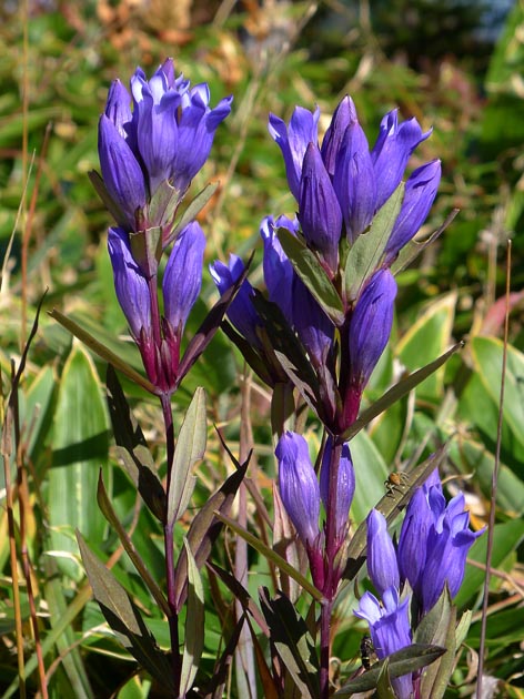 f:id:notahiro:20211001105900j:plain