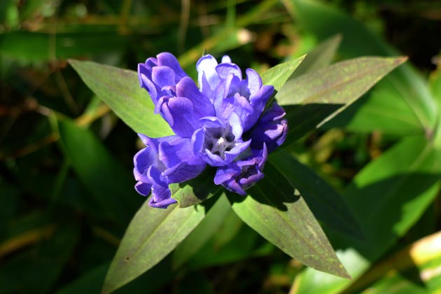 f:id:notahiro:20211001110226j:plain