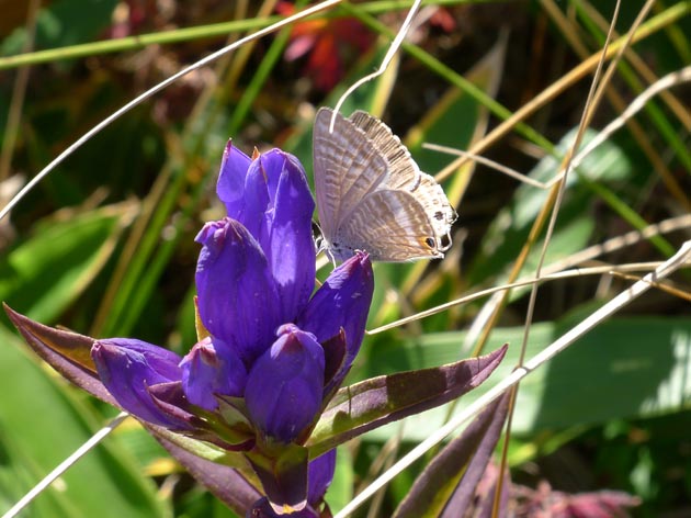 f:id:notahiro:20211001110336j:plain