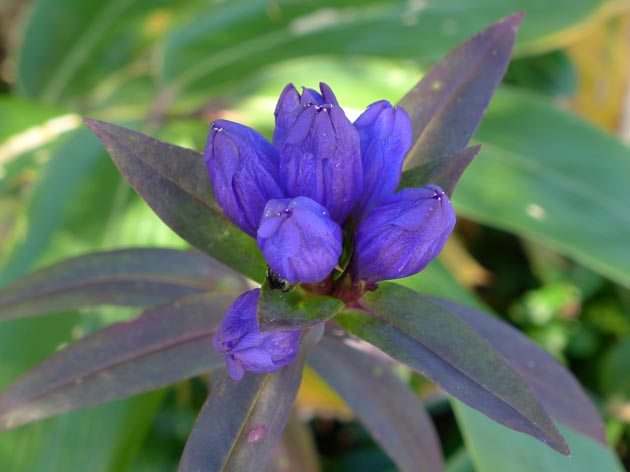 f:id:notahiro:20211001110552j:plain