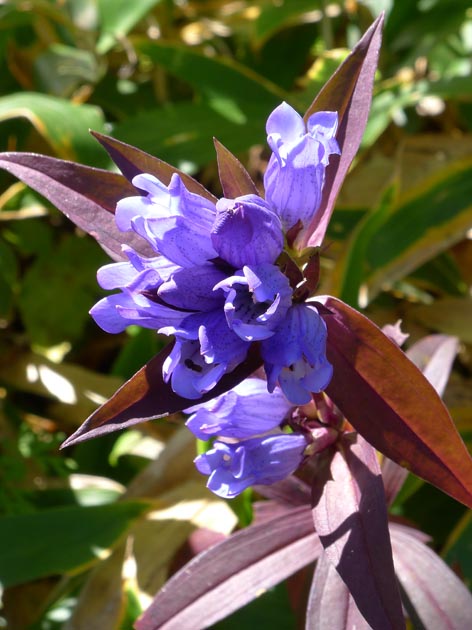 f:id:notahiro:20211001110721j:plain