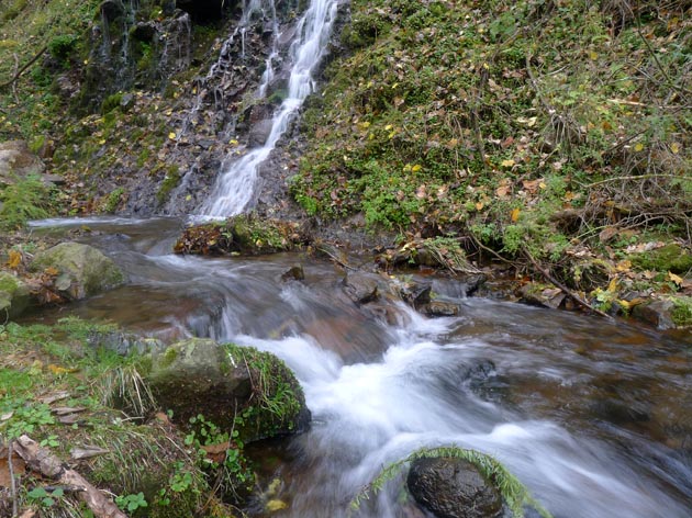 f:id:notahiro:20211031114200j:plain