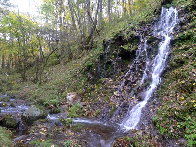 f:id:notahiro:20211031114345j:plain