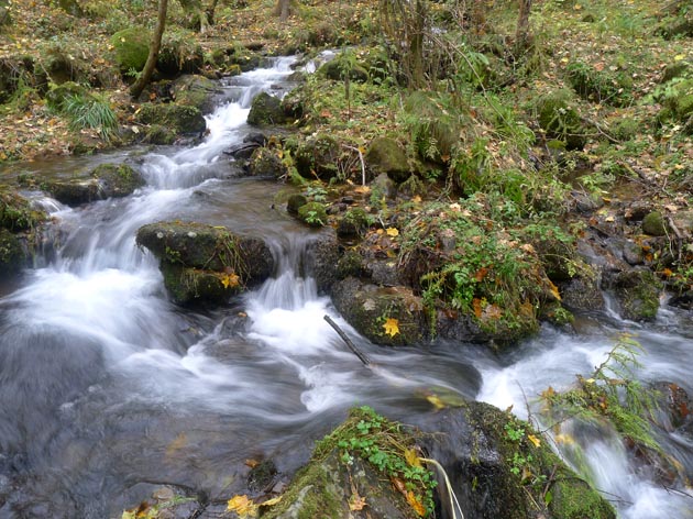 f:id:notahiro:20211031114501j:plain