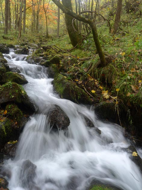 f:id:notahiro:20211031114643j:plain