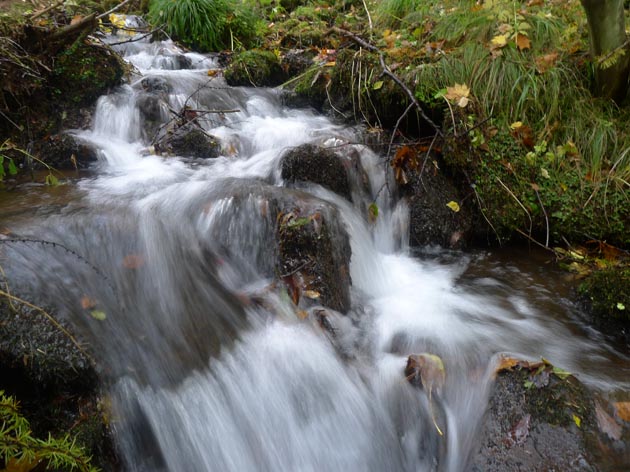 f:id:notahiro:20211031114815j:plain