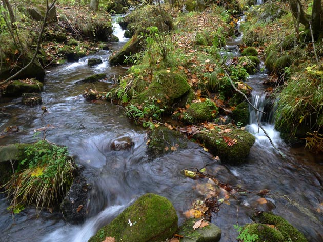 f:id:notahiro:20211031115034j:plain