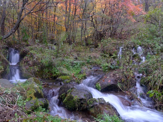 f:id:notahiro:20211031115203j:plain