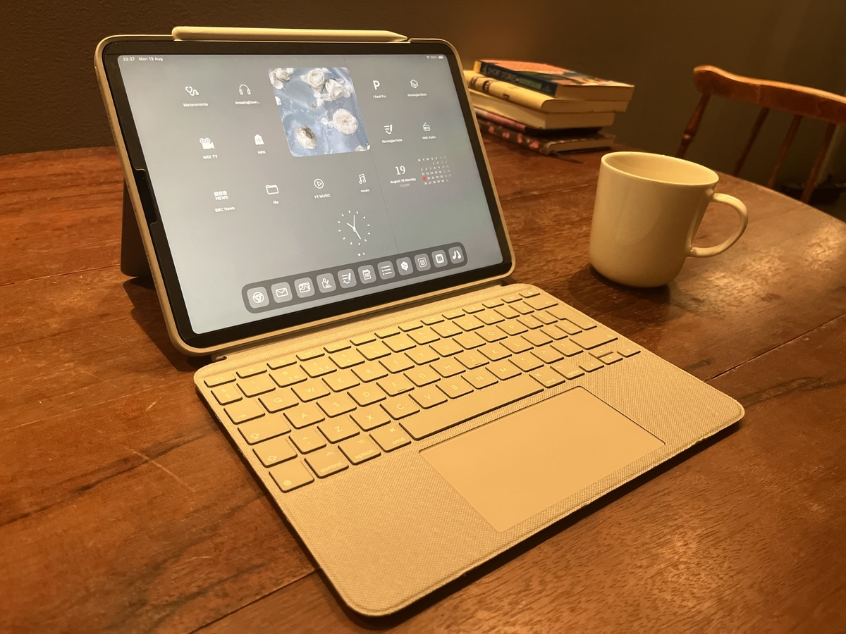 ipad