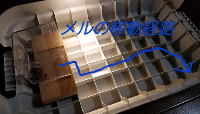 f:id:notcho:20180414185544j:plain