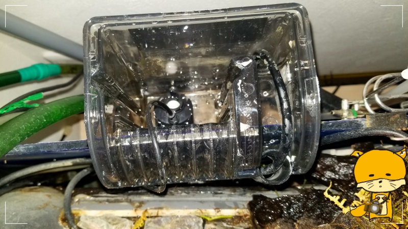 f:id:notcho:20200329182643j:plain