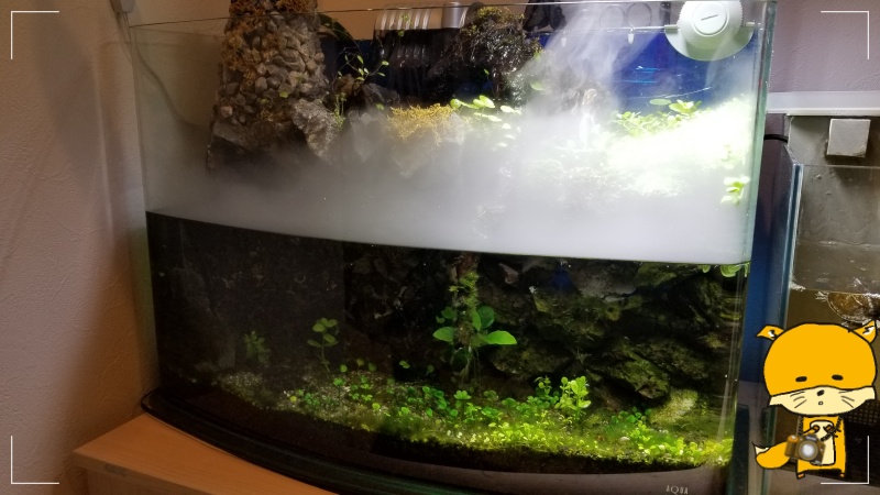 f:id:notcho:20200329182805j:plain