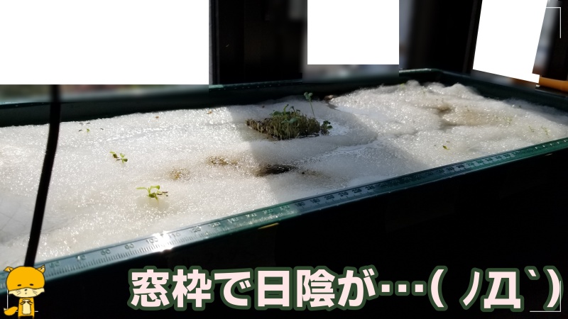 f:id:notcho:20200614151431j:plain f:id:notcho:20200614151431j:plain