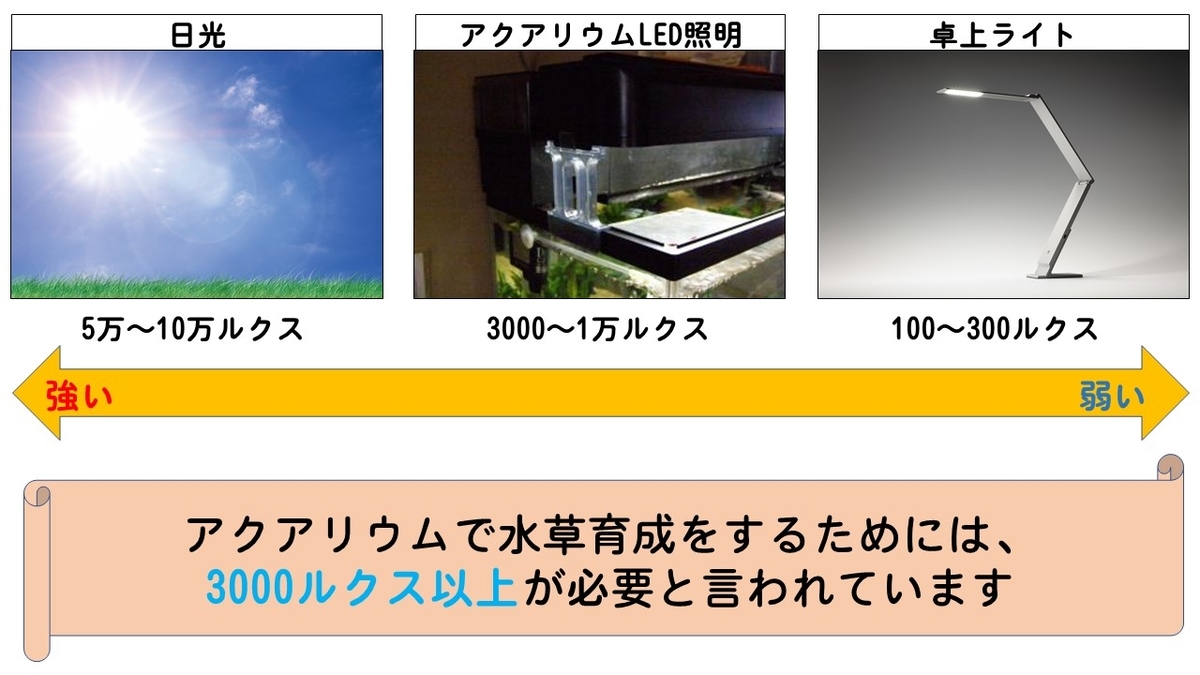 f:id:notcho:20210107101413j:plain