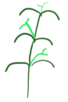 f:id:notcho:20210207230507p:plain