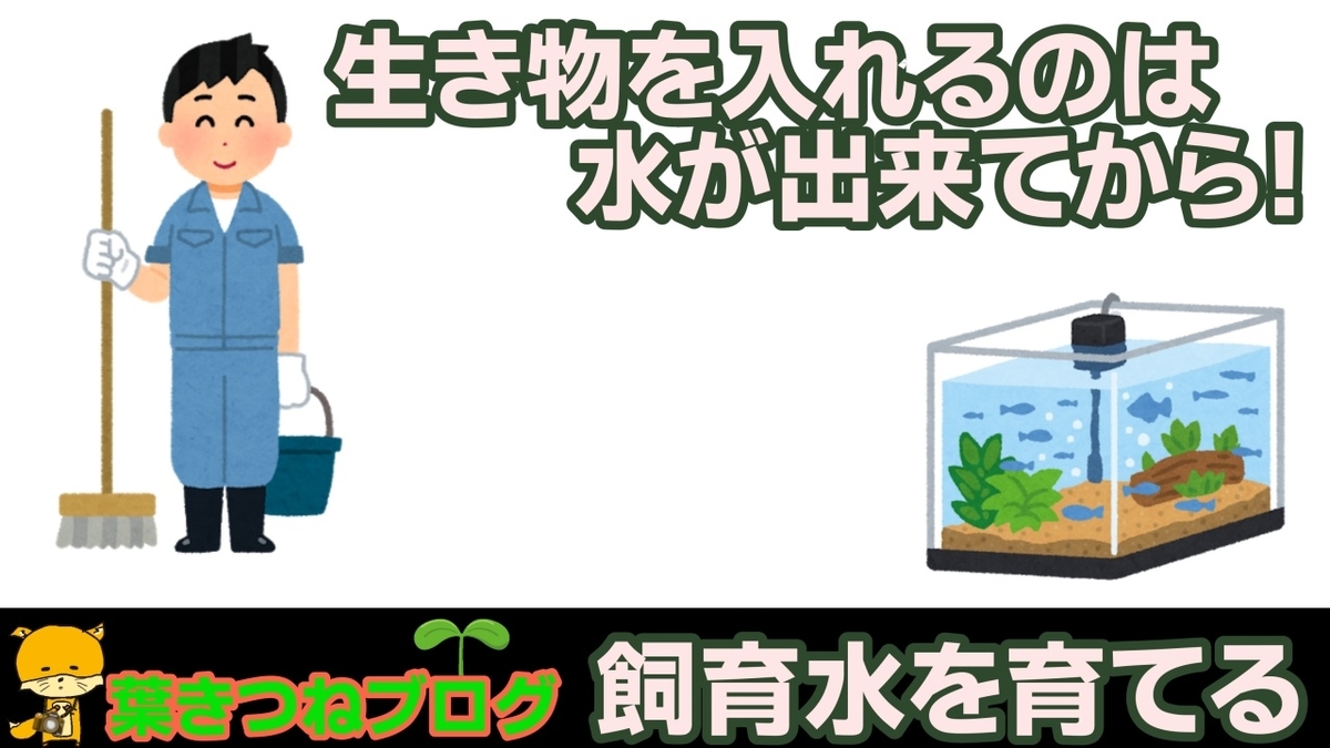 f:id:notcho:20210221224926j:plain
