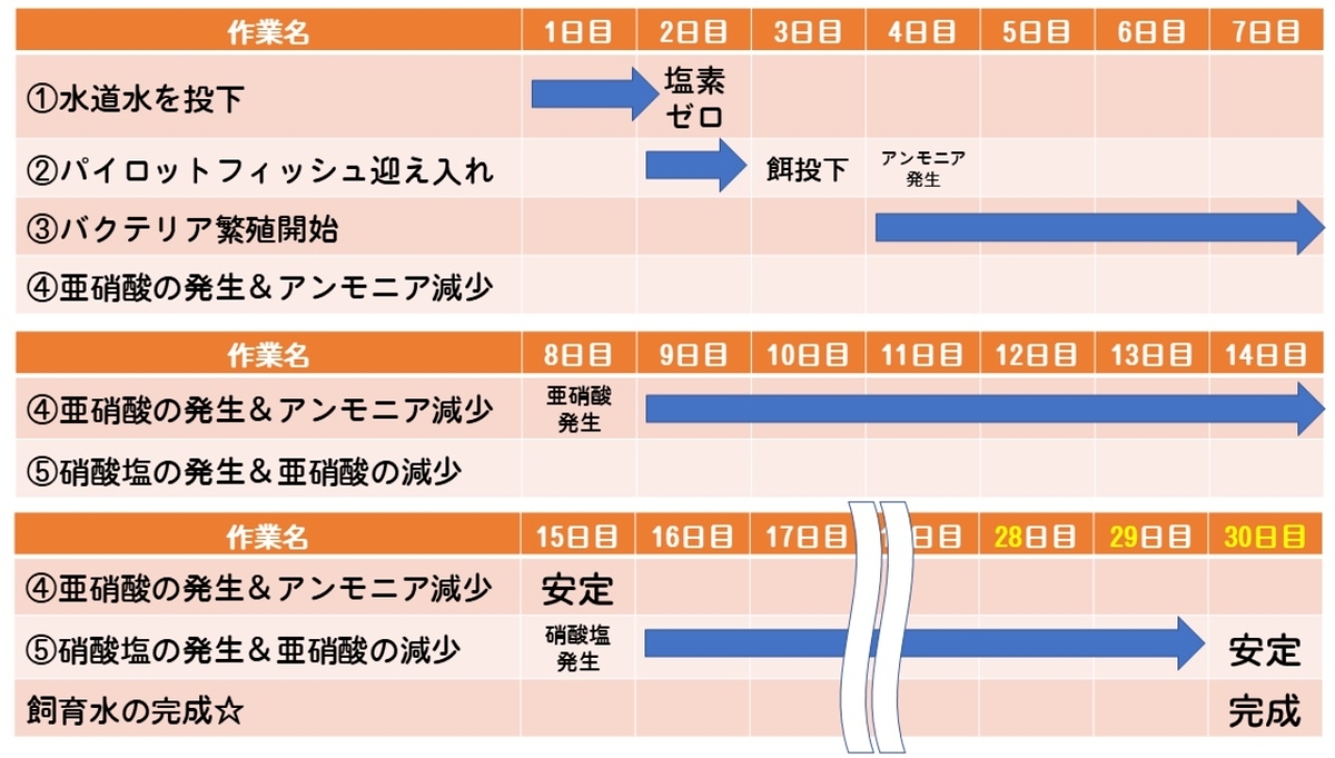 f:id:notcho:20210224171345j:plain