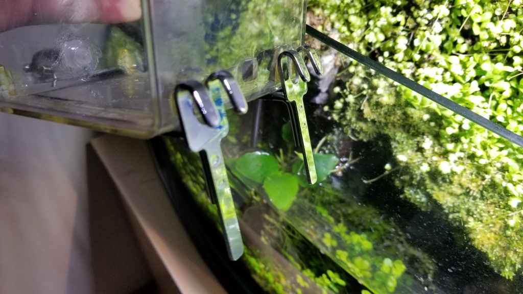 f:id:notcho:20210227074918j:plain