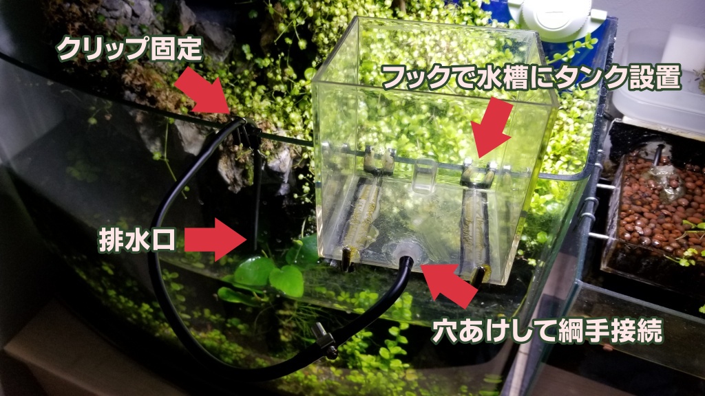 f:id:notcho:20210227074957j:plain