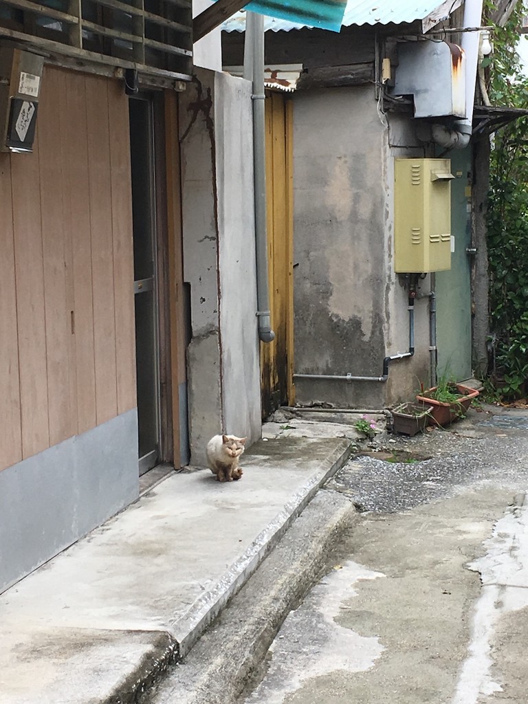 f:id:note103:20180305124558j:plain:w300 f:id:note103:20180305124558j:plain:w300